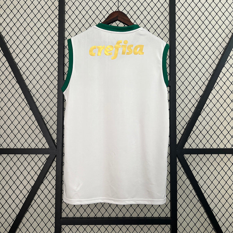 Camiseta 24∕25 Vest Palmeiras away