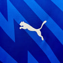 Jersey 24∕25 Goalkeeper Palmeiras Blue