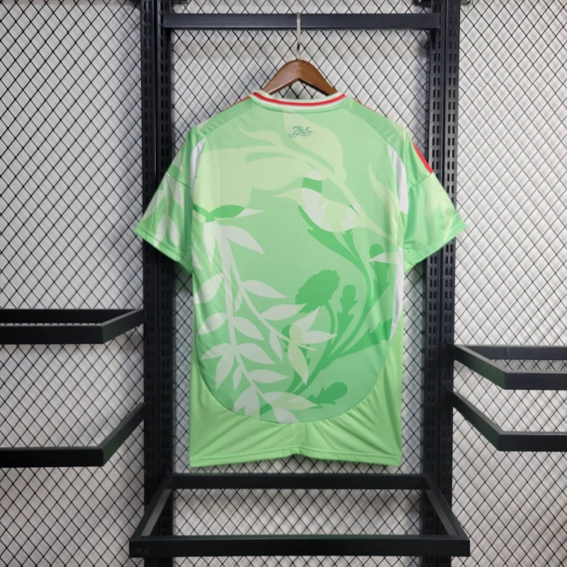 Jersey Italia 25/26 - Verde