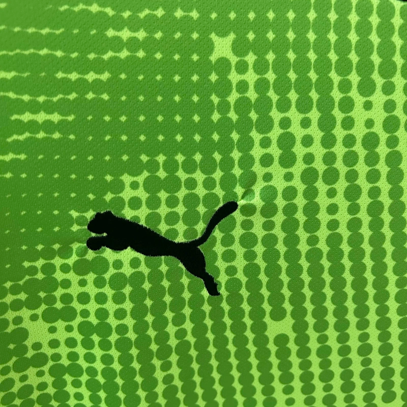 Jersey Portugal 25∕26 Goleiro - Verde