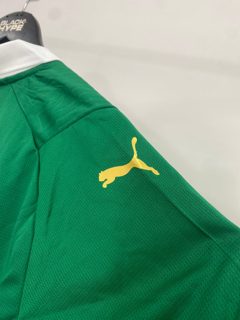 Camiseta do Palmeiras Home 24/25 s/n° Torcedor Masculino - Verde