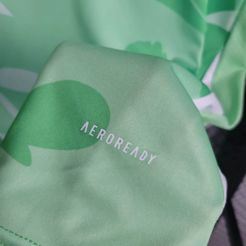 Jersey Italia 25/26 - Verde