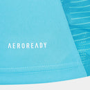 Jersey Flamengo Treino 25/26 Azul e Vermelho