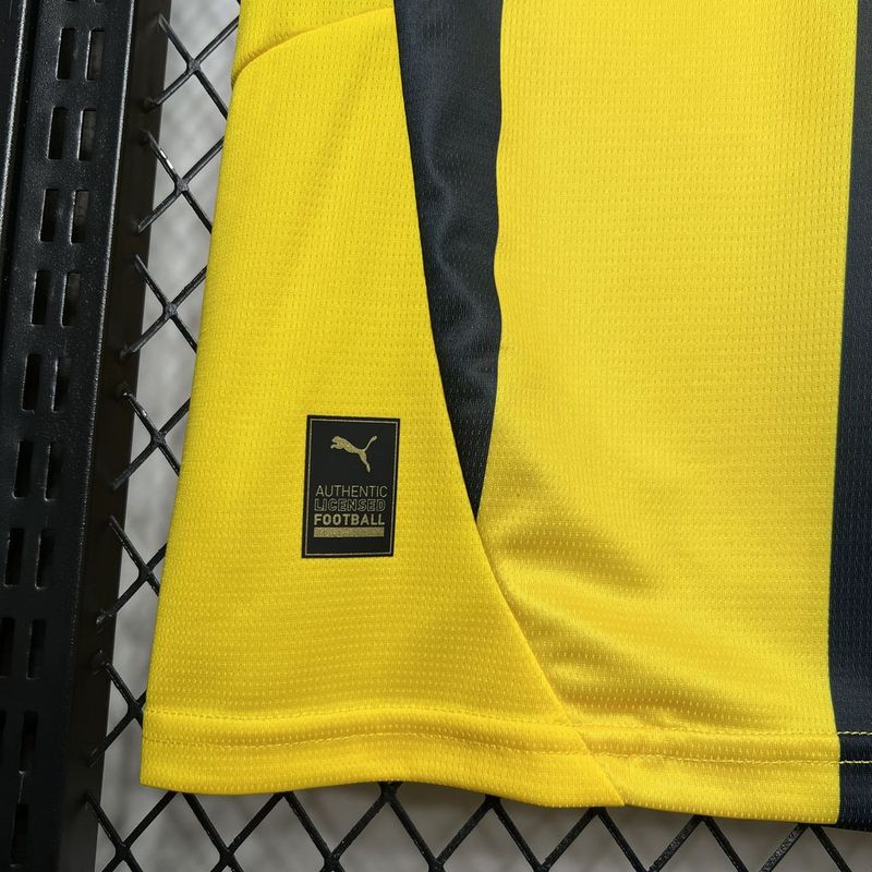 Camiseta do Fenerbahce l 24/25