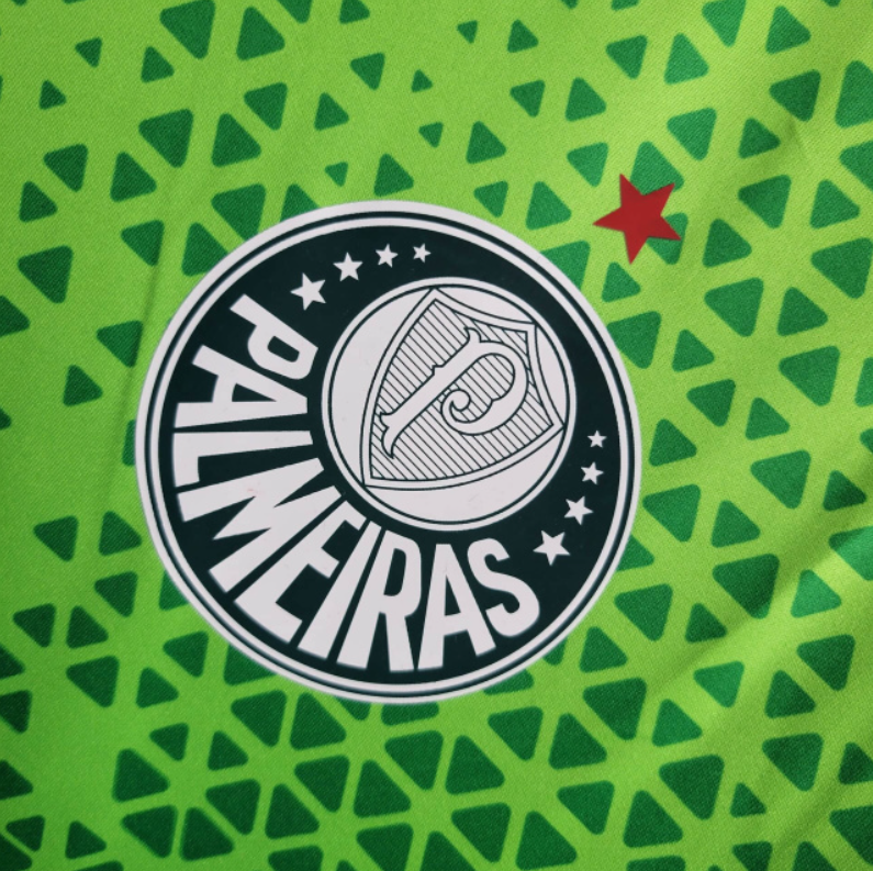 Camiseta 24∕25 Palmeiras Treino