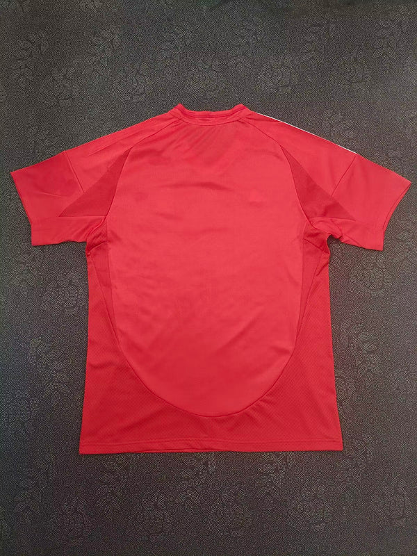 Camiseta Benfica 24/25 Home I