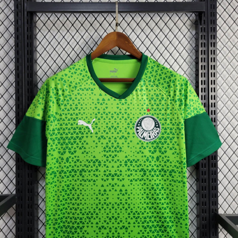 Camiseta 24∕25 Palmeiras Treino