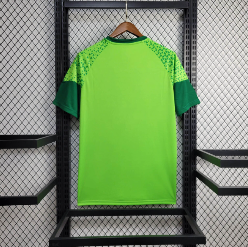 Camiseta 24∕25 Palmeiras Treino