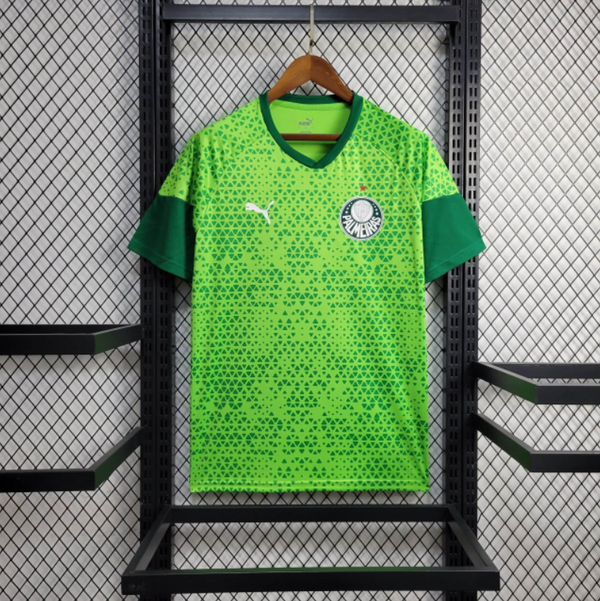 Camiseta 24∕25 Palmeiras Treino