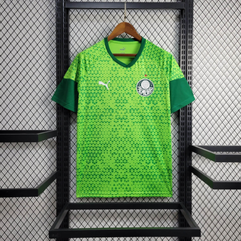 Camiseta 24∕25 Palmeiras Treino