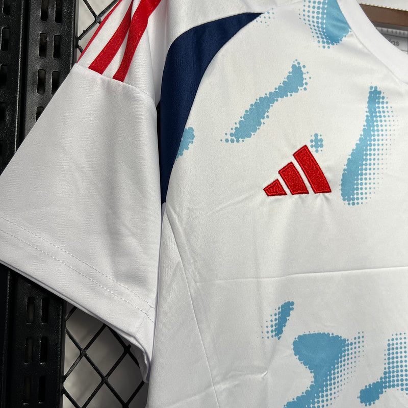 Camiseta Costa Rica 24/25 - Away