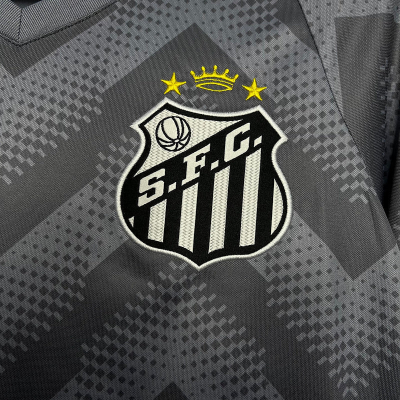 Camiseta 24∕25 Santos Treino Cinza