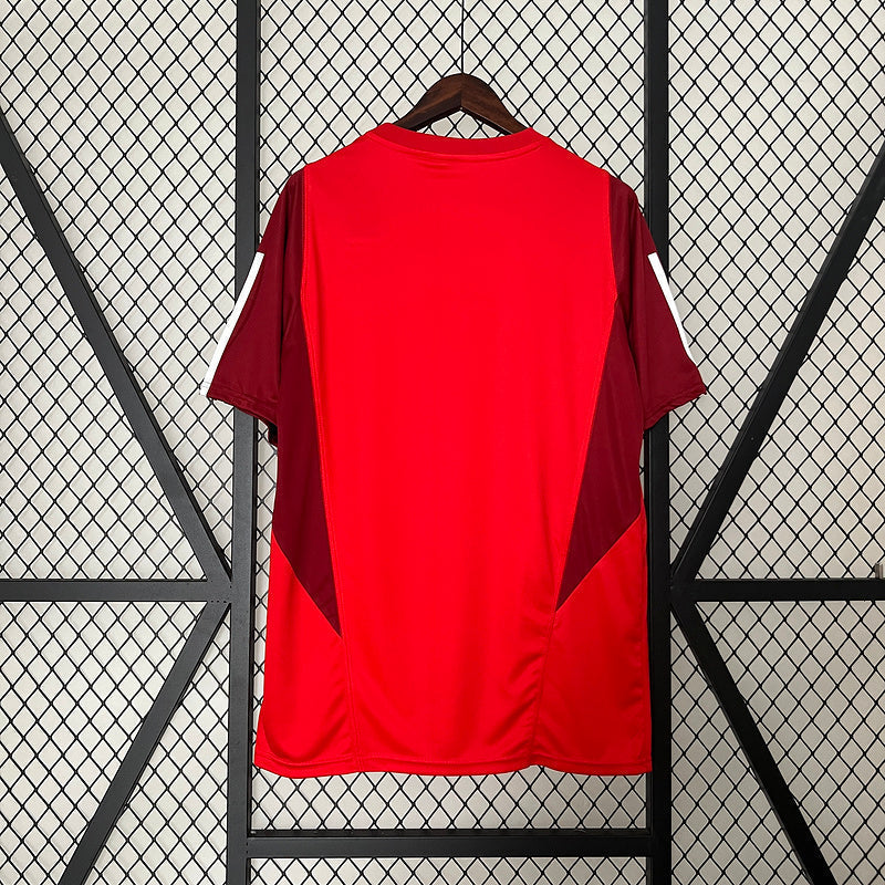 Camiseta 24∕25 Internacional Training Wear Red